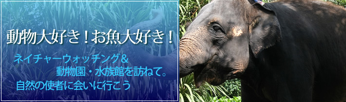 動物大好き！お魚大好き！ネイチャーウォッチング＆動物園・水族館を訪ねて。自然の使者に会いに行こう