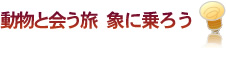 動物と会う旅　象に乗ろう