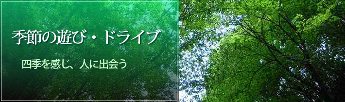 季節の遊び・ドライブ四季を感じ、人に出会う夏だ！花火だ！ドライブだ！