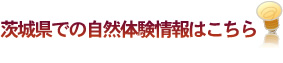 茨城県での自然体験情報はこちら