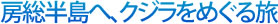 房総半島へ、クジラをめぐる旅