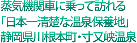 蒸気機関車に乗って訪れる「日本一清楚な温泉保養地」静岡県川根本町・寸又峡温泉