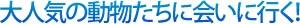 今後、増えてきそうな予感