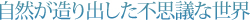 自然が造り出した不思議な世界