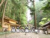 那智滝（那智の滝）