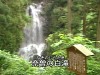 奈曽の白滝