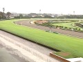 中山競馬場