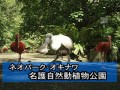 ネオパーク・オキナワ名護自然動植物公園